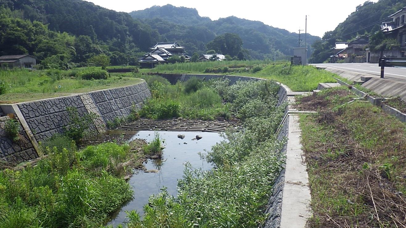 平成23年8月5日（2011）撮影　施工後1年３か月後